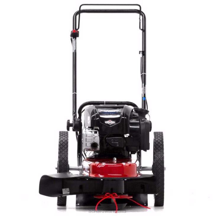 prato e giardino Ace Hardware Tosaerba tosaerba a gas Toro 58620 da 22 pollici e 163 cc 4N2660