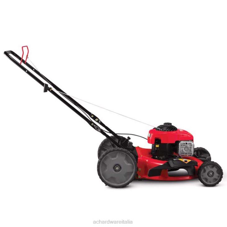 prato e giardino Ace Hardware Craftman cmxgmam201102 Rasaerba a gas da 21 pollici e 140 cc 4N2655