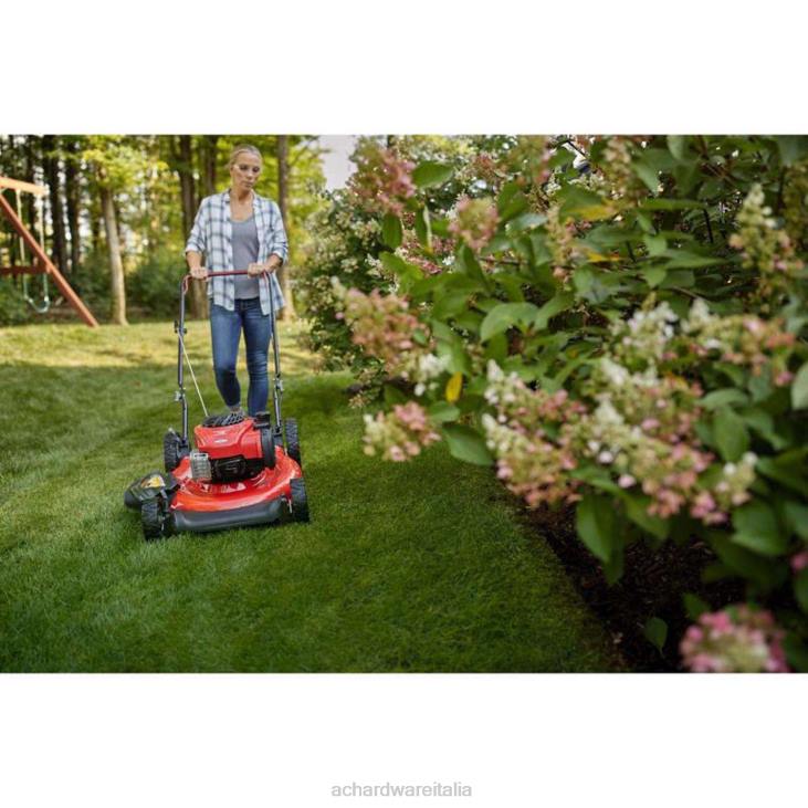 prato e giardino Ace Hardware Craftman cmxgmam201102 Rasaerba a gas da 21 pollici e 140 cc 4N2655