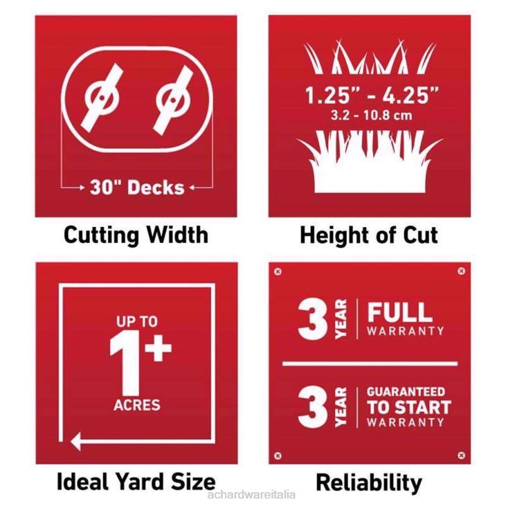 prato e giardino Ace Hardware Toro Personal Pace Timemaster 21199 Rasaerba semovente a gas da 30 pollici e 223 cc 4N2623