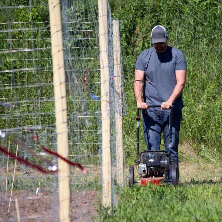 prato e giardino Ace Hardware Tosaerba tosaerba a gas Toro 58620 da 22 pollici e 163 cc 4N2660