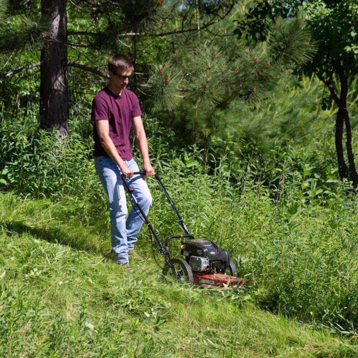 prato e giardino Ace Hardware Tosaerba tosaerba a gas Toro 58620 da 22 pollici e 163 cc 4N2660