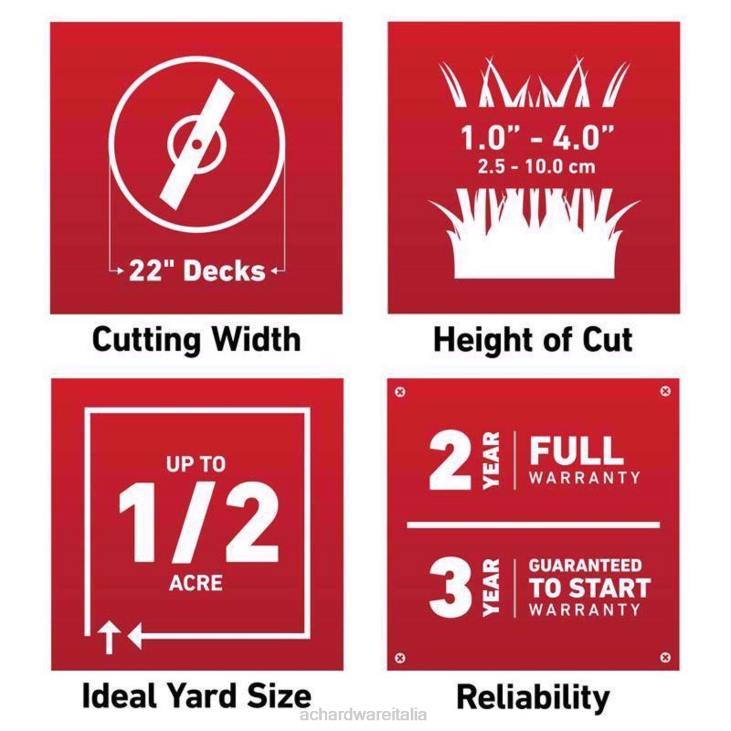 prato e giardino Ace Hardware tosaerba semovente a gas toro recycler 21442 22 pollici 150 cc 4N268